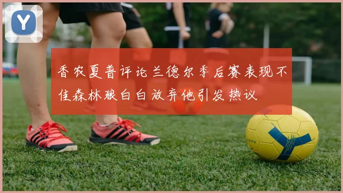 香农夏普评论兰德尔季后赛表现不佳森林狼白白放弃他引发热议