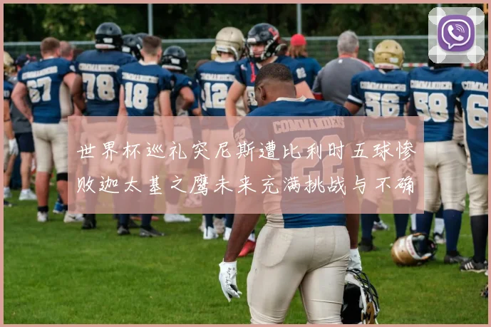 世界杯巡礼突尼斯遭比利时五球惨败迦太基之鹰未来充满挑战与不确定性